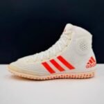 committed wrestling shoes e946b6598558448fb29cc1914611a41f 300x300 1.jpg